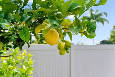 24333 Gitano Drive, Murrieta, CA 92562 - Photo 24