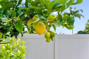 24333 Gitano Dr, Murrieta, CA 92562 - Photo 24