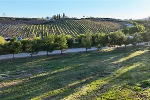 40589 Los Amantes, Temecula, CA 92592 - Photo 38