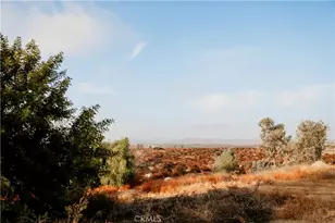 39220 Gray Squirrel, Temecula, CA 92592 - Photo 54