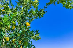 14647 Amorose St, Lake Elsinore, CA 92530 - Photo 52