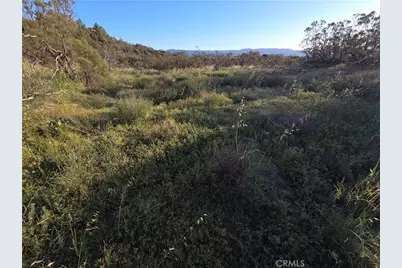 1007 Roan Way, Aguanga, CA 92536 - Photo 1