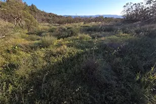 1007 Roan Way, Aguanga, CA 92536 - Photo 1