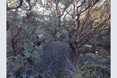 1007 Roan Way, Aguanga, CA 92536 - Photo 14