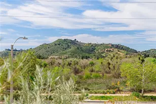 35103 Vintage Cv, Fallbrook, CA 92028 - Photo 58