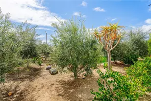 35103 Vintage Cv, Fallbrook, CA 92028 - Photo 58