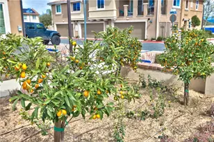 28397 Partridge Way, Murrieta, CA 92563 - Photo 34