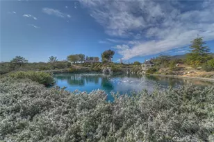 38375 Hill, Anza, CA 92539 - Photo 14