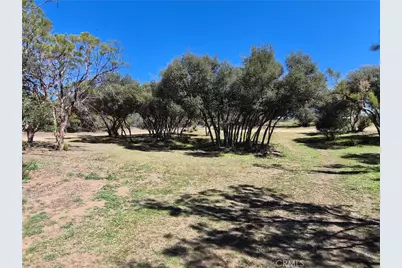 38295 Indian Road, Anza, CA 92539 - Photo 2