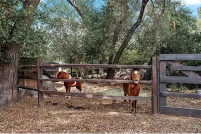 39455 Avenida La Cresta, Murrieta, CA 92562 - Photo 62