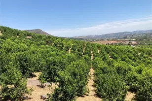 39 Carancho Rd, Temecula, CA 92590 - Photo 2