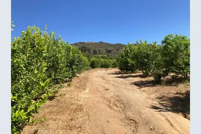 39 Carancho Road, Temecula, CA 92590 - Photo 4