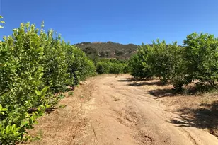 39 Carancho Rd, Temecula, CA 92590 - Photo 4