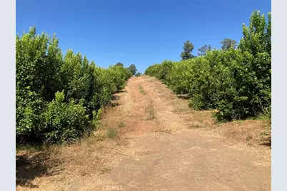 39 Carancho Road, Temecula, CA 92590 - Photo 6