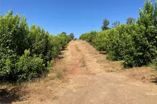 39 Carancho Rd, Temecula, CA 92590 - Photo 6