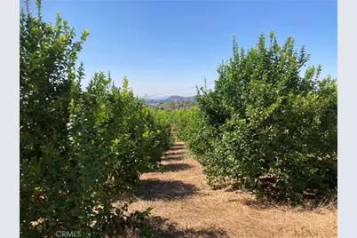 39 Carancho Road, Temecula, CA 92590 - Photo 10