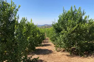 39 Carancho Rd, Temecula, CA 92590 - Photo 10