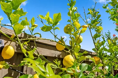 38232 Placer Creek Street, Murrieta, CA 92562 - Photo 44