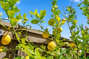 38232 Placer Creek St, Murrieta, CA 92562 - Photo 44