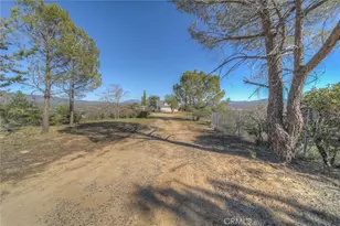 51201 Deer Mountain, Anza, CA 92539 - Photo 40