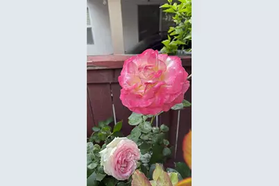 1948 Medoc, San Jacinto, CA 92583 - Photo 32