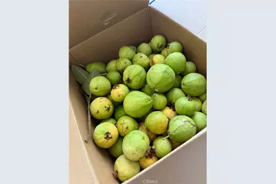 1948 Medoc, San Jacinto, CA 92583 - Photo 34