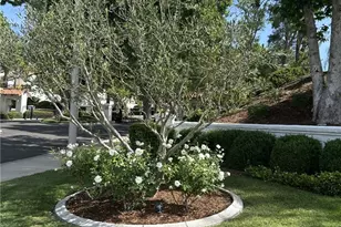 45233 Camino Monzon, Temecula, CA 92592 - Photo 34