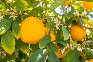 22711 Queensbury Ct, Wildomar, CA 92595 - Photo 38