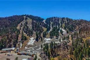 6230 Penguin, Wrightwood, CA 92397 - Photo 28