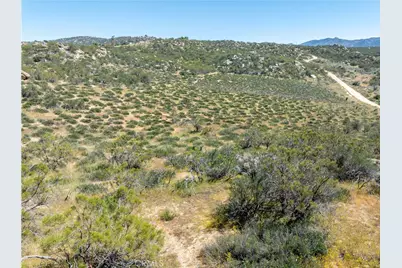 24 Ruben Drive, Aguanga, CA 92536 - Photo 2