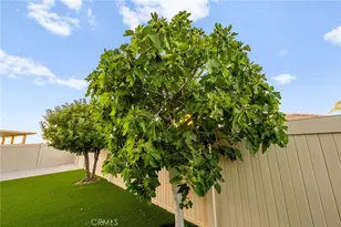 33926 Channel, Temecula, CA 92592 - Photo 46