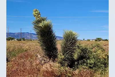 0 Phelan, Phelan, CA 92371 - Photo 8