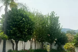 16496 Nectarine Way, Lake Elsinore, CA 92530 - Photo 18