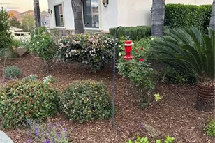 35394 Linda Rosea Rd, Temecula, CA 92592 - Photo 6