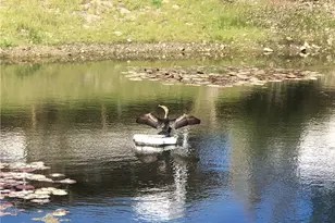 35109 Hwy 79, Warner Springs, CA 92086 - Photo 38