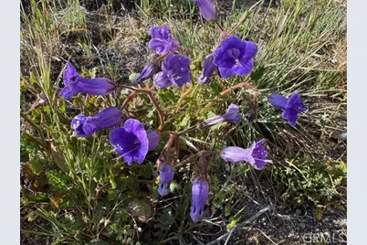 54740 Cave Rock Road, Anza, CA 92539 - Photo 46