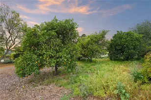 665 Norwynn Ln, Fallbrook, CA 92028 - Photo 42