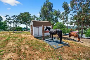 1638 Scooter Ln, Fallbrook, CA 92028 - Photo 52