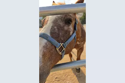 32360 Navajo Springs, Wildomar, CA 92595 - Photo 12