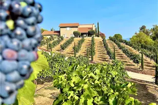 40995 Via Fernando, Temecula, CA 92592 - Photo 18