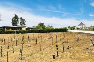 40995 Via Fernando, Temecula, CA 92592 - Photo 36