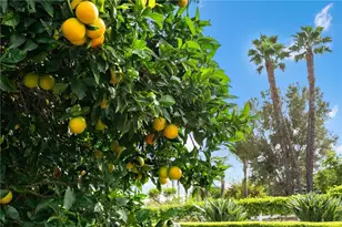 4323 Rainbow Vista, Fallbrook, CA 92028 - Photo 22