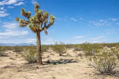 0 Sunny Sands, Joshua Tree, CA 92252 - Photo 16