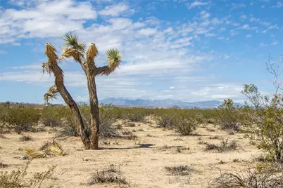 0 Sunny Sands, Joshua Tree, CA 92252 - Photo 18