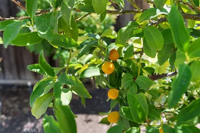 36220 Madora Drive, Wildomar, CA 92595 - Photo 34