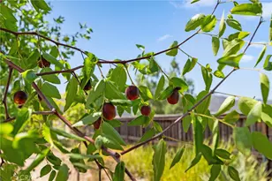 36220 Madora Dr, Wildomar, CA 92595 - Photo 32