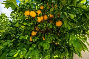 4438 Wanda, Hemet, CA 92544 - Photo 40