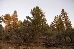 4295 Noodle, Angeles Oaks, CA 92305 - Photo 4