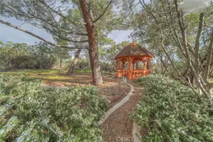 37440 Old Forest, Anza, CA 92539 - Photo 64