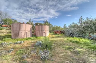 37440 Old Forest, Anza, CA 92539 - Photo 70